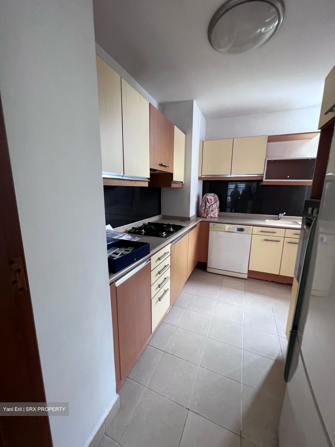 The Balmoral Spring (D10), Apartment #477892831